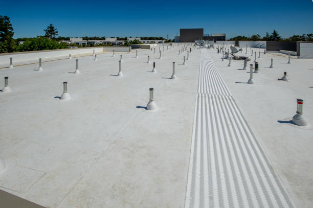 Best Metal Roofing Installation  in Senatobia, MS